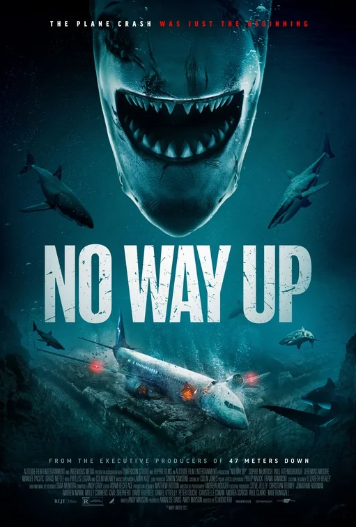 Poster film No Way Up (2024)